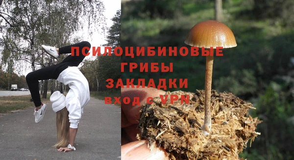 мяу мяу мука Зерноград