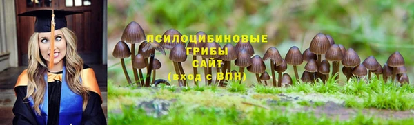 ГАЛЛЮЦИНОГЕННЫЕ ГРИБЫ Алзамай