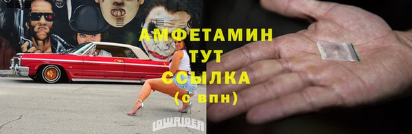 ГАЛЛЮЦИНОГЕННЫЕ ГРИБЫ Алзамай