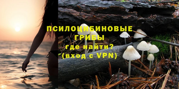 дмт Аркадак