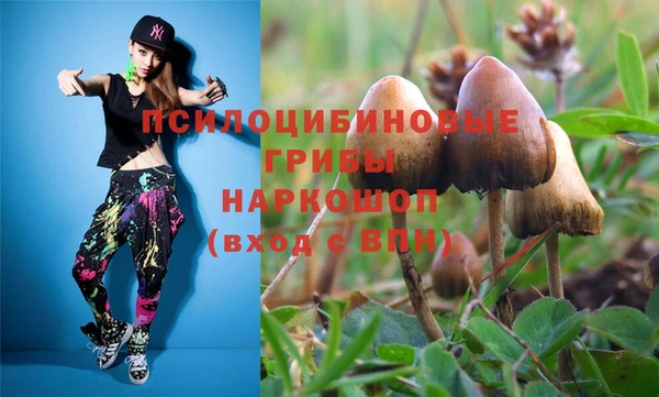 apvp Алексин