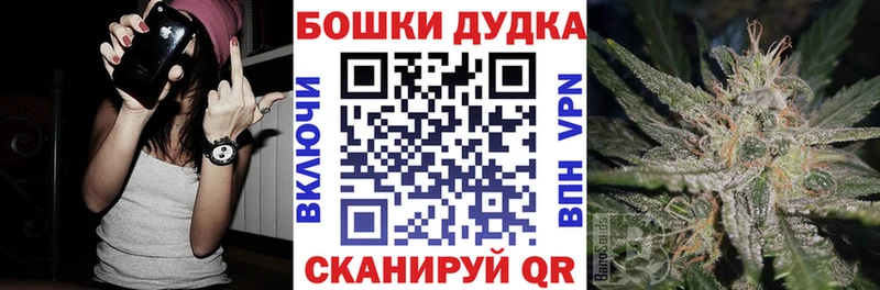Бошки Шишки ГИДРОПОН  OMG как зайти  Хотьково 
